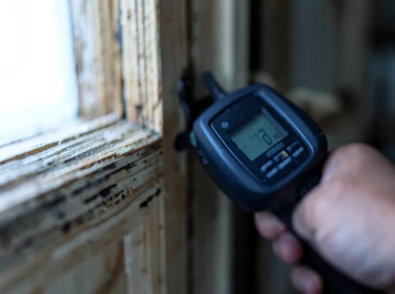 Moisture Inspection And Documentation in Youngwood, PA